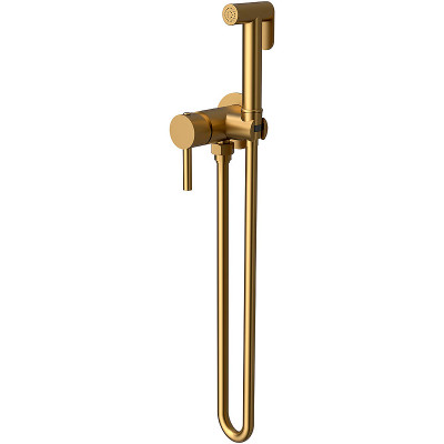 Гигиенический душ со смесителем Vincea VHFW-101BG золото