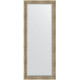 Зеркало напольное Evoform Exclusive Floor 202х82 BY 6121 с фацетом в багетной раме Серебряный акведук 93 мм  (BY 6121)