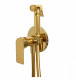 Remer Infinity I65DO Гигиенический душ со смесителем (золото)  (I65DO)