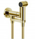 Гигиенический душ (комплект со смесителем) Nobili AV00600GDP, золото  (AV00600GDP)