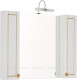 Зеркало-шкаф в ванную Aquanet Честер 105 белый/золото (00186084)  (00186084)